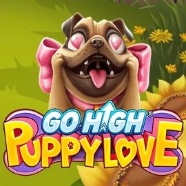 Try Go High Puppy Love slot by RubyPlay on icekaszino.org – logo image